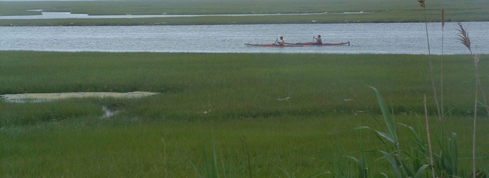 Kayakers_in_Nauset_Marsh_Eastham