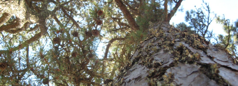 2010 07 05_1449